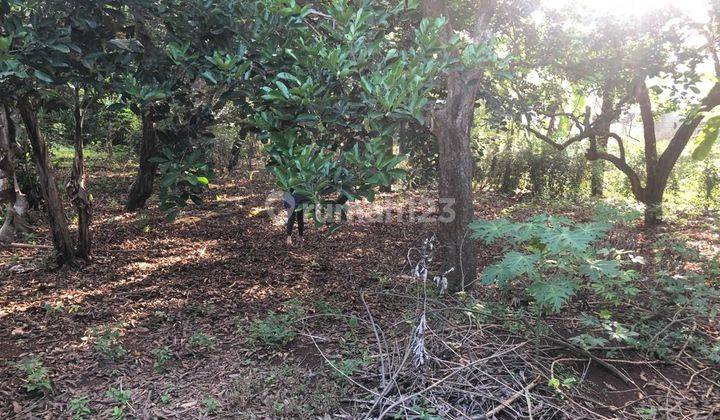Tanah Kebun, Lokasi Suddah Banyak Pabrik, Gudang Dekat Toll Cikampek 1