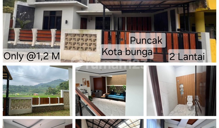 Rumah Furnished Kota Bunga Cipanas Puncak Bogor