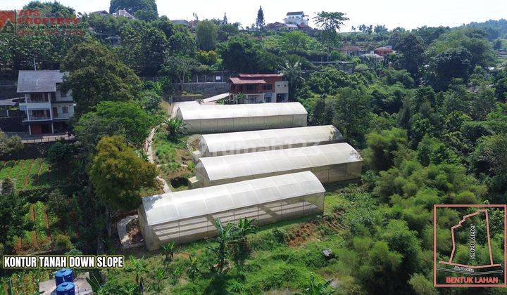 Villa Murah & 4 Green House Pasir angin Gadog Puncak 1