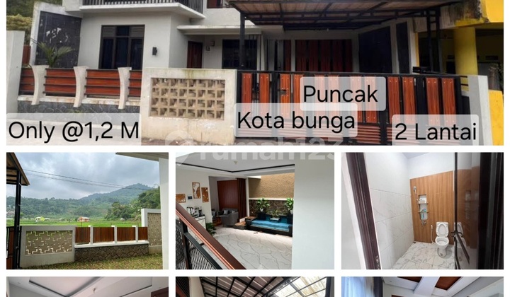 Villa Murah Deket Kota Bunga Cipanas Puncak