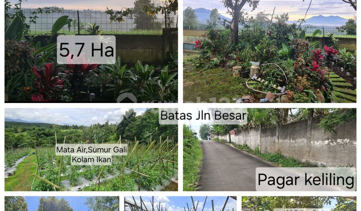 Tanah Murah Pinggir Jln Besar Klapanunggal Sukabumi