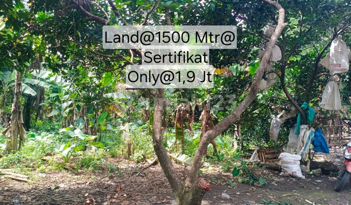 Tanah Murah Sertifikat Cijulang Sukaraja Sentul City Bogor Tanah Murah Sertifikat Cijulang Sukaraja Sentul City Bogor