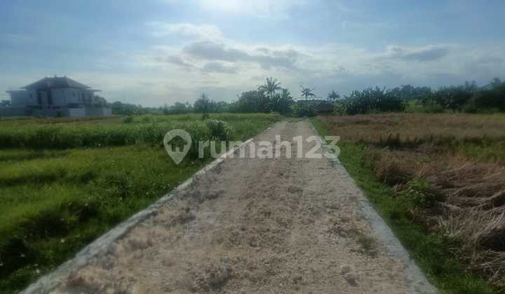 Dijual Segera Tanah Dekat Pantai Kedungu Bali Dijual Segera Tanah Dekat Pantai Kedungu Bali