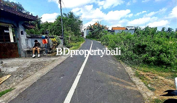 Dijual Tanah Murah Yang Sedang Berkembang Kawasan Bajera Selemandeg Tabanan Bali