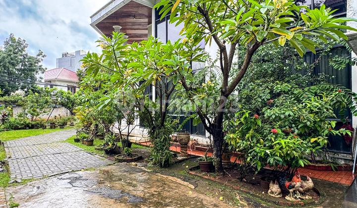 Prime Area Dekat Diponegoro | Rumah Halaman Luas 2