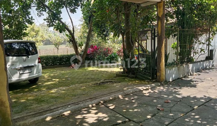 Well-Maintained Villa Ready to Live In Well-Maintained Villa Ready to Live In