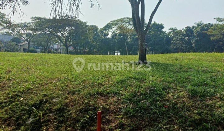 Kavling Murah Di Kusuma Dwipa Citraraya 