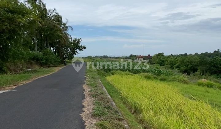 Tanah Istimewa Tabanan