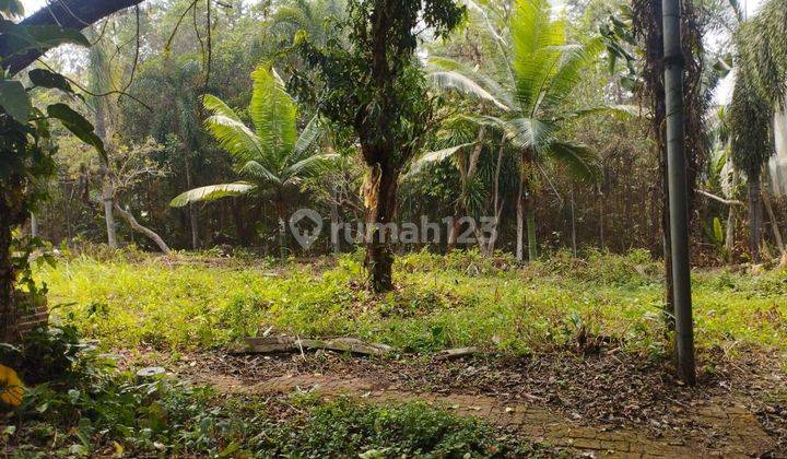 Tanah bonus rumah rasa Villa lokasi strategis dekat tol dan mall  di Jagakarsa Jakarta Selatan 2