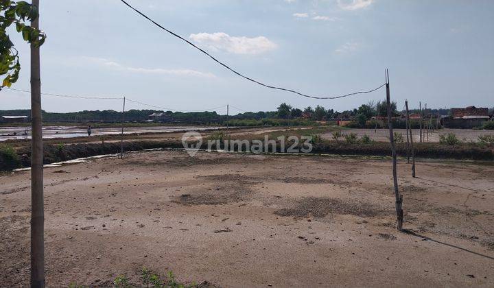 Tambak Garam Luas di Rembang 1