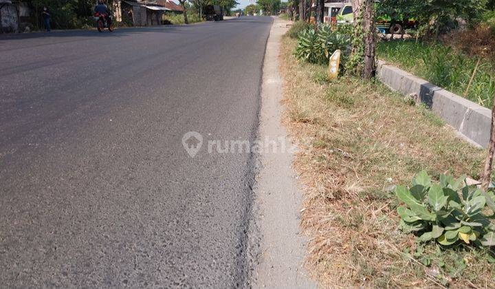 Tambak Garam Luas di Rembang 2