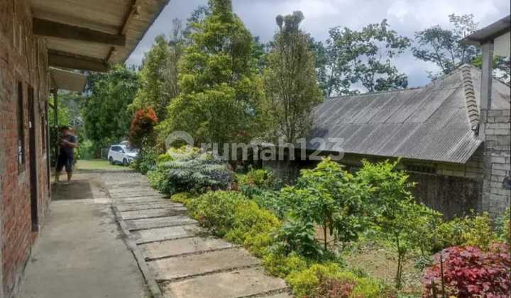 For Sale Cool Area Villa Jl. Ngagrong Kopeng Salatiga 2