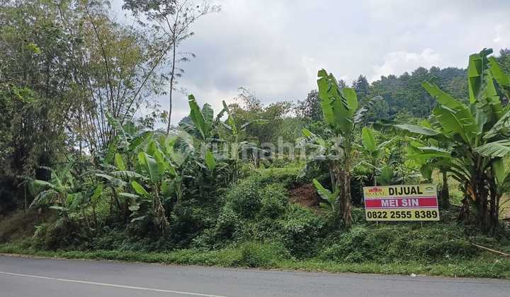 Dijual Tanah Luas Lokasi di Kalirejo Ungaran 1