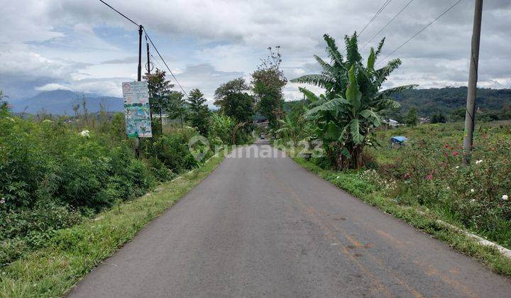 Tanah Flora Wisata Banyukuning Bandungan Kabupaten Semarang 1