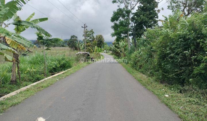 Tanah Flora Wisata Banyukuning Bandungan Kabupaten Semarang 2