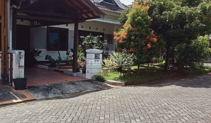 Rumah Graha Estetika Semarang  2