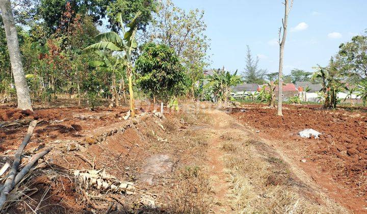 Tanah Mulawarman Timur Kramas Undip Tembalang Semarang  1