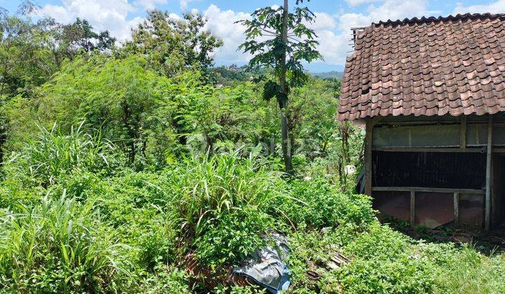 Tanah Jl Dewi Sartika Barat Sukorejo Sampangan Gunungpati Semarang  2