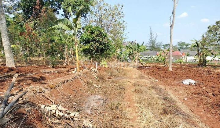 Tanah Mulawarman Timur Dalam Kramas Bulusan Undip Tembalang Semarang  1