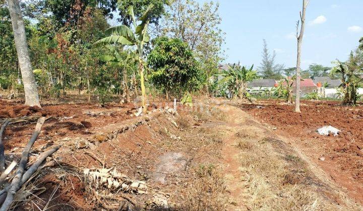 Tanah Mulawarman Timur Dalam Kramas Bulusan Undip Tembalang Semarang  2