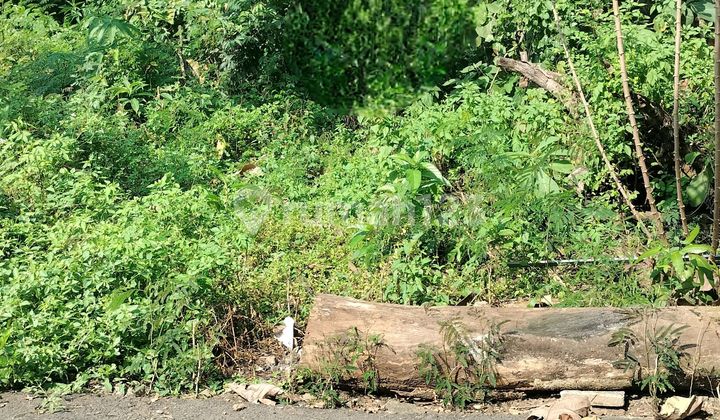 Tanah Jl Dwi Sartika Barat Vi Sukorejo Sampangan Semarang 1
