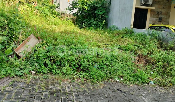 South Bulusan Land, Undip, Tembalang, Semarang 1