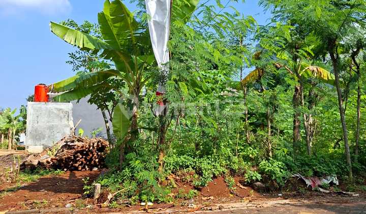 Tanah Bulusan Selatan Undip Tembalang Semarang