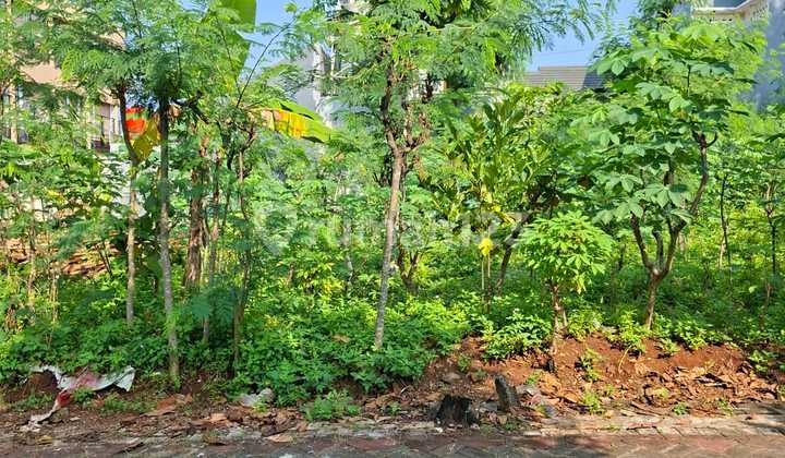 Tanah Bulusan Selatan Undip Tembalang Semarang 2