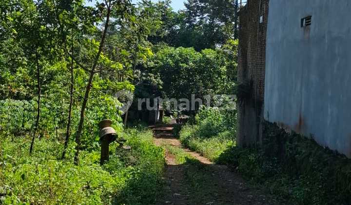 Tanah Jl Watusari Pakintelan Unes Gunung Pati Semarang 1