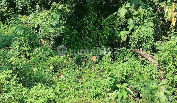 Tanah Jl Dwi Sartika Barat Vi Sukorejo Sampangan Semarang 2
