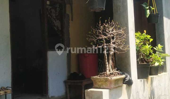 Rumah Pucung Gedawang Pudak Payung Banyumanik Semarang 1