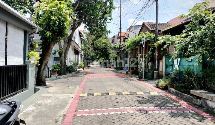 Rumah Jl Bukit Cemara Indah Tembalang Semarang 2