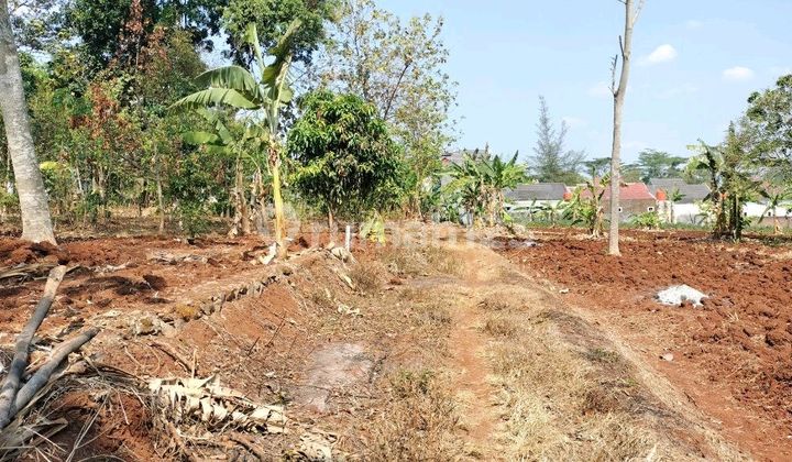 Tanah Mulawarman Tembalang Undip Semarang 2