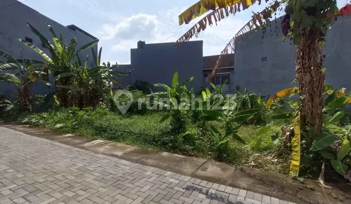 Tanah Jl Bulusan Utara Undip Tembalang Semarang 1
