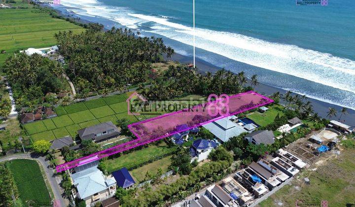 Land for Sale Pasut Beach Tabanan 3460 M2 1