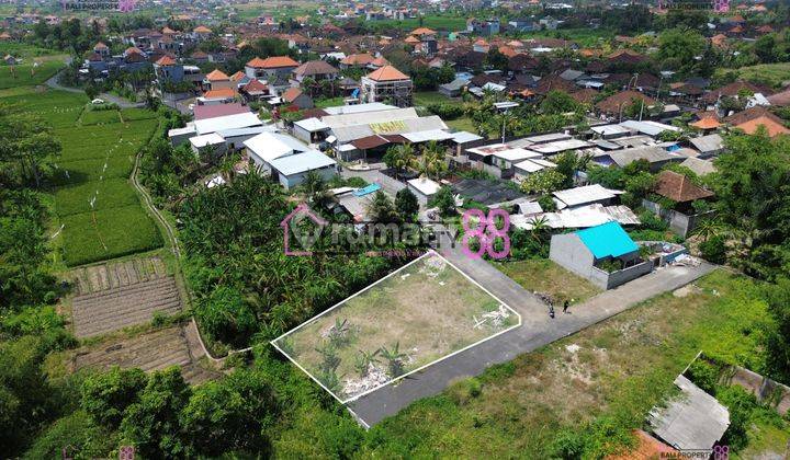 Jual Tanah Penatih Denpasar Lt 400 M2 2