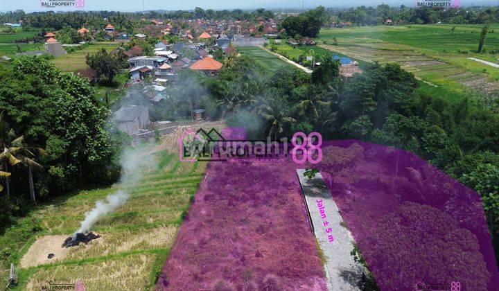 Land for sale, Kedungu Tabanan, 300 m2 floor 2