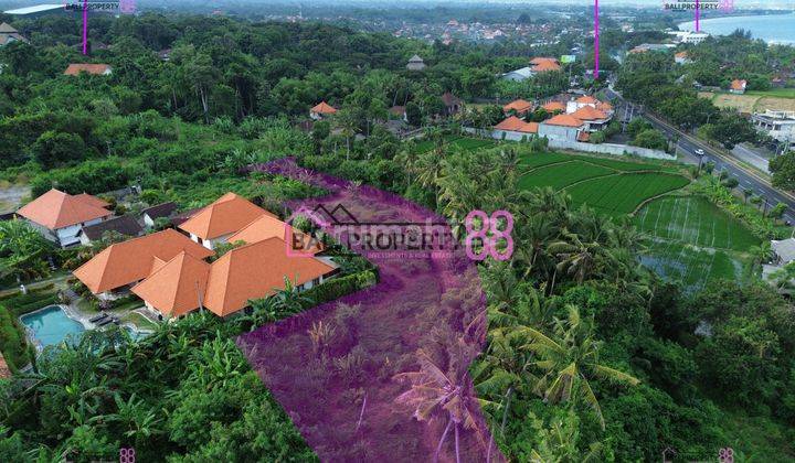 Jual Tanah Cucukan Keramas Gianyar Lt 2657 M2 1