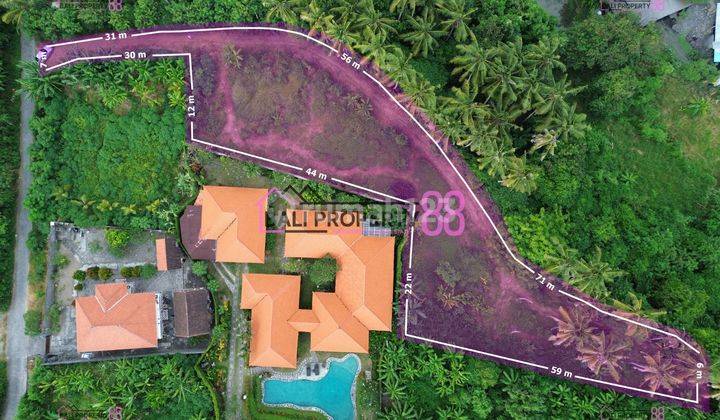 Jual Tanah Cucukan Keramas Gianyar Lt 2657 M2 2