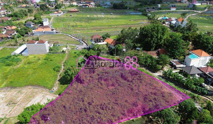 Jual Tanah Cemagi Canggu Mengwi Lt 3270 M2 1