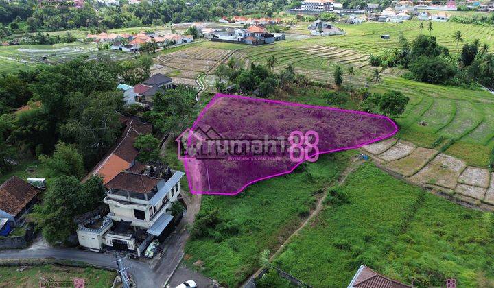 Jual Tanah Cemagi Canggu Mengwi Lt 3270 M2 2