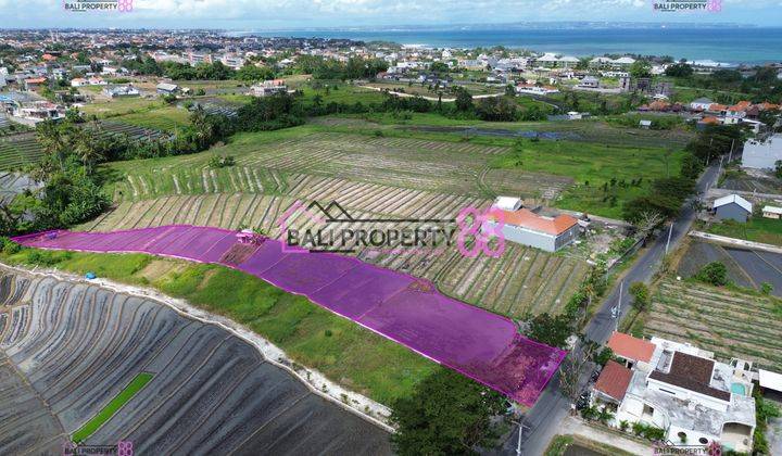 Selling Land Munggu Mengwi Floor 2750 M2 1