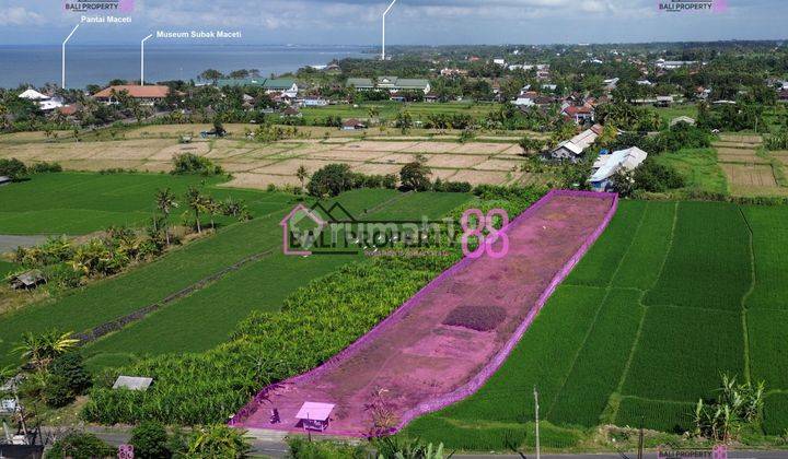 Jual Tanah Dekat Pantai Cucukan Gianyar Lt 3390 M2 1