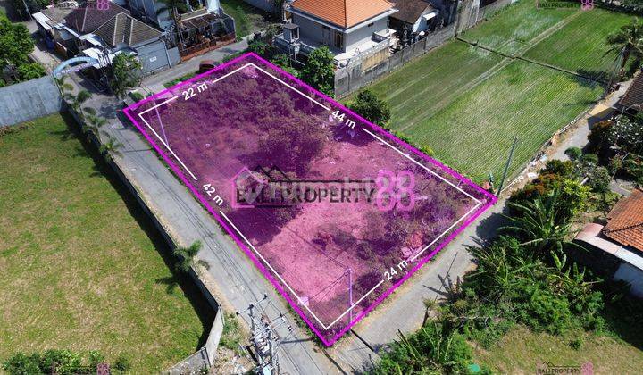 Jual tanah gatot subroto timur LT 977 m2 2