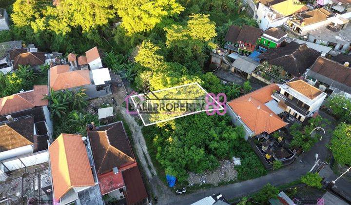 DIJUAL Tanah Strategis di Kebo Iwa Utara, Denpasar – Dekat Tunas Daud LT 250 m2