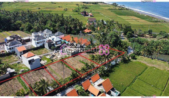 Jual Tanah Pantai Purnama Gianyar Lt 500 M2 2