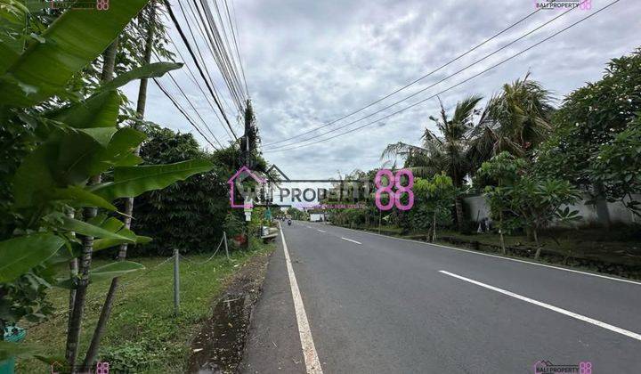 Dikontrakkan Tanah Strategis di Jalan Utama Sedap Malam, Denpasar LT 2000 m2 2