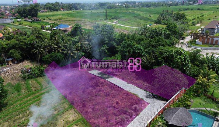 Land Plot for Sale in Kedungu Tabanan Floor 300 M2 2