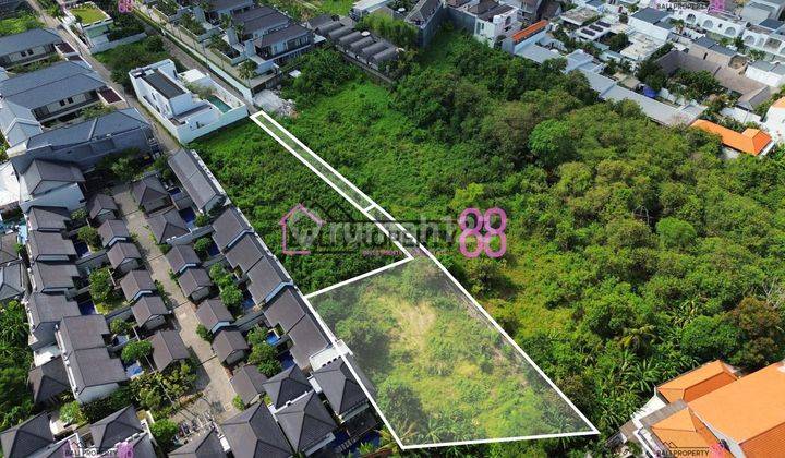 Buc Jual Tanah Kayu Tulang Canggu Lt 1167 M2 1