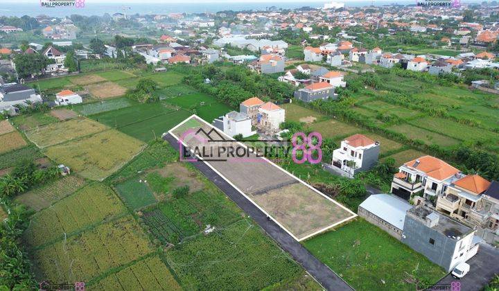 Dikontrakkan Tanah 2180 m² View Sawah – Jalan Sedap Malam, Dekat Sanur 1